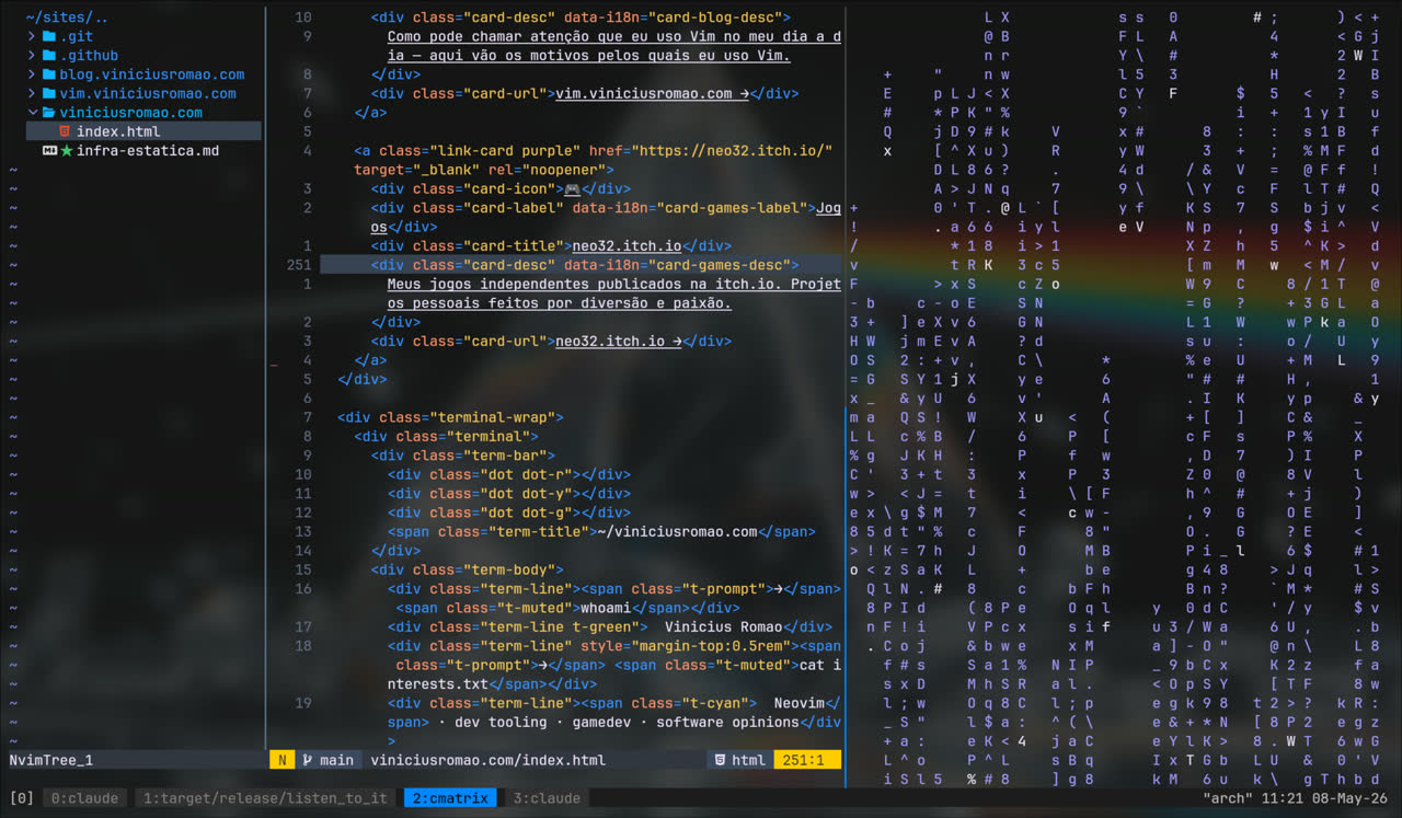 Nvim setup